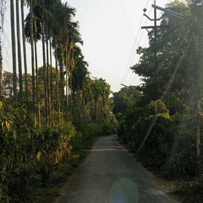 The bypass road from the hostel buildings to our college